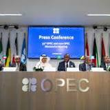 WH 'disappointed' with OPEC  oil production cut, will release more from US reserves