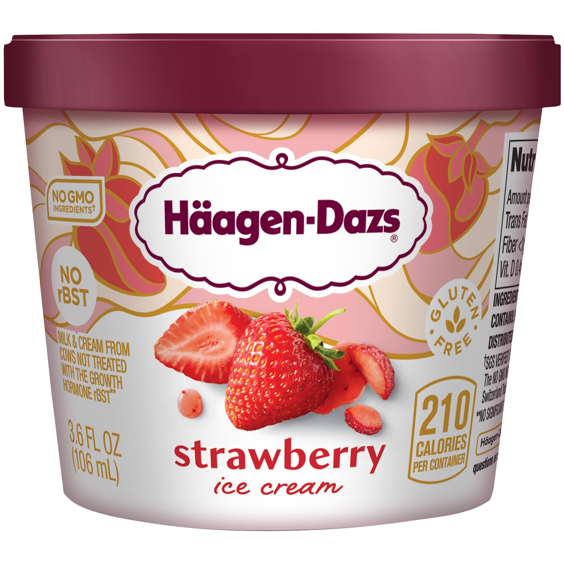 Haagen Dazs Ice Cream - Strawberry
