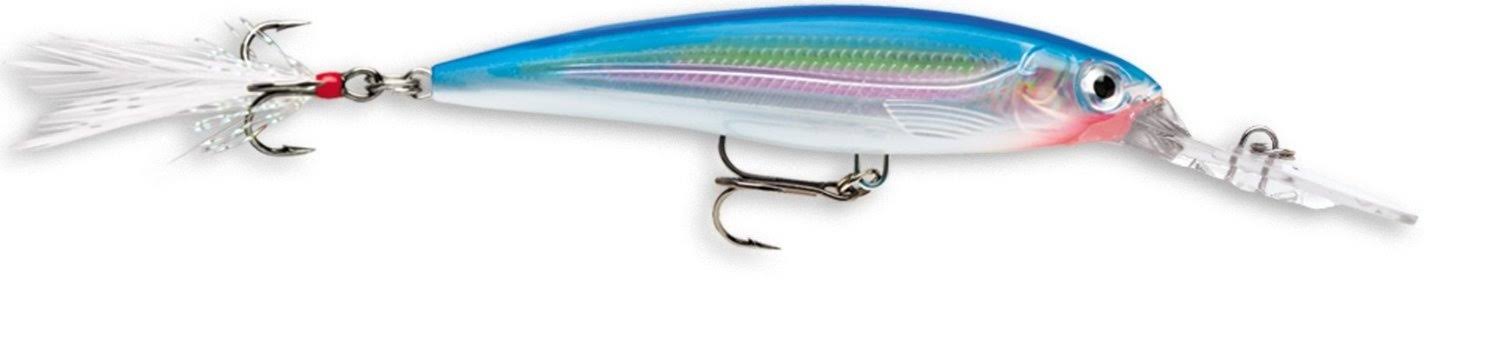Rapala X-Rap Deep (Silver Blue) | Boating & Fishing | Delivery Guaranteed | Free Shipping on All Orders | Best Price Guarantee