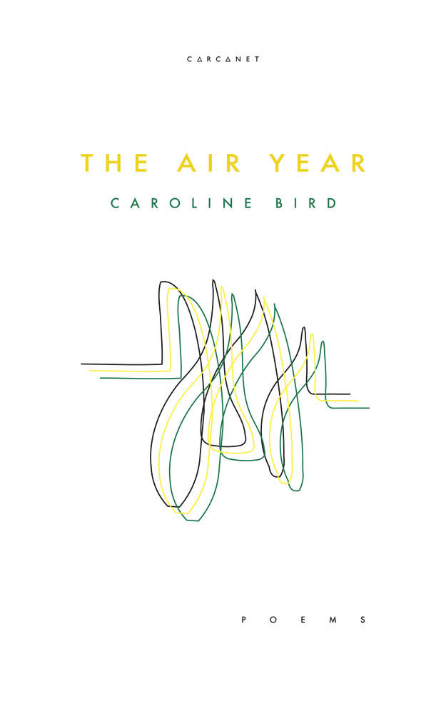 The Air Year [Book]