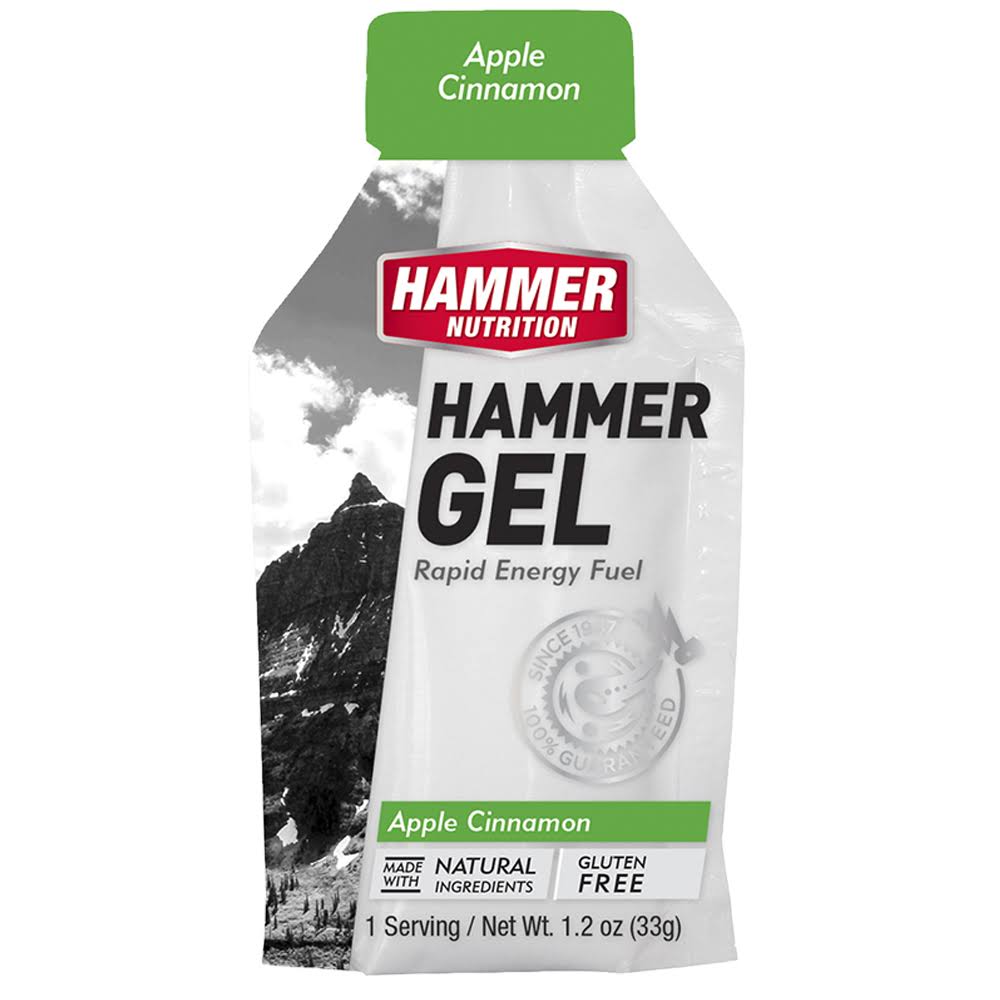 Hammer Nutrition Hammer Gel - Vanilla, 24 pack