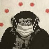 Variole du singe : non, le vaccin n'est pas expérimental !