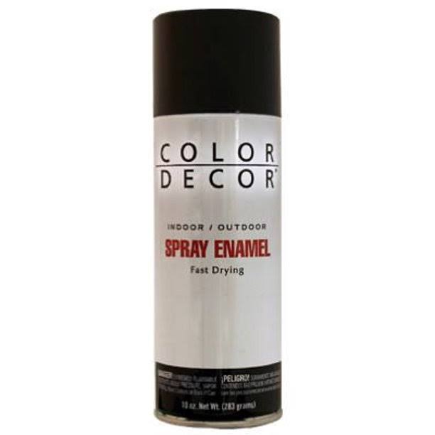 Color Decor Indoor and Outdoor Gloss Spray Enamel - Black