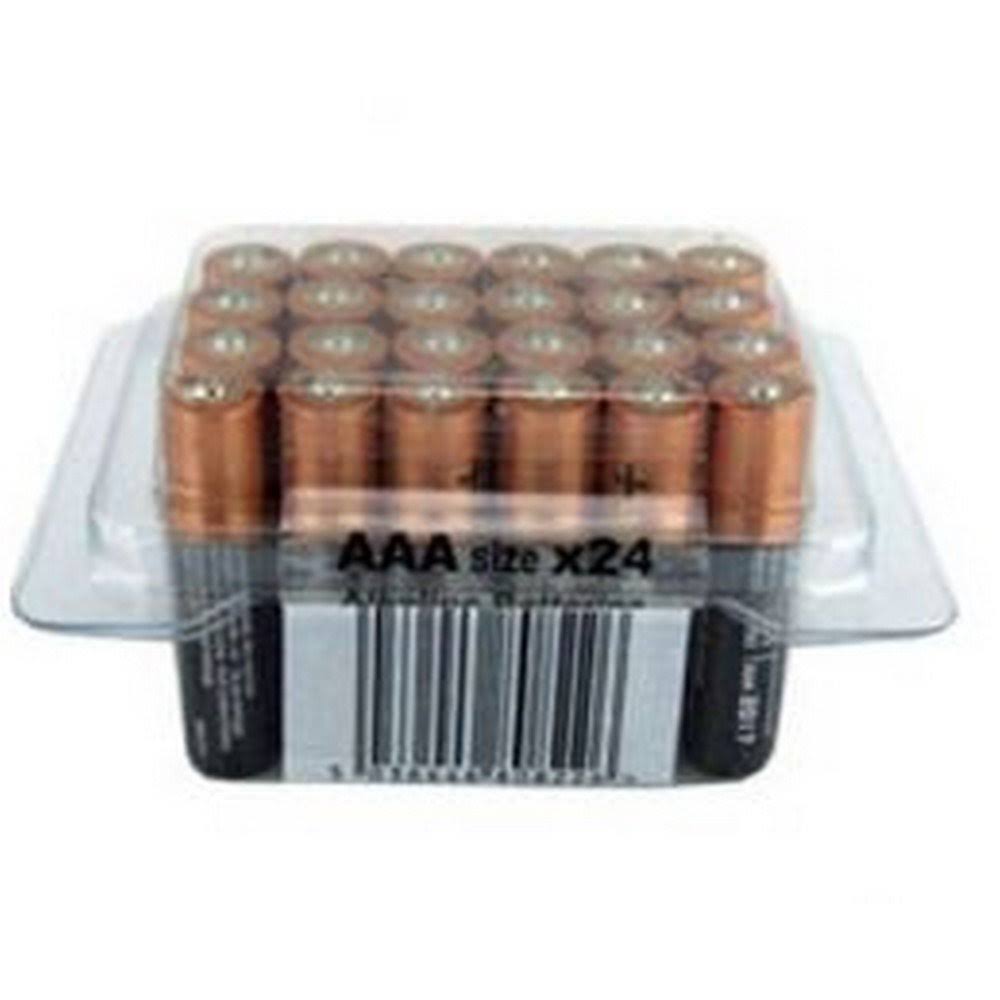 Duracell Plus AAA Batteries Bulk Tub - 24 Pack