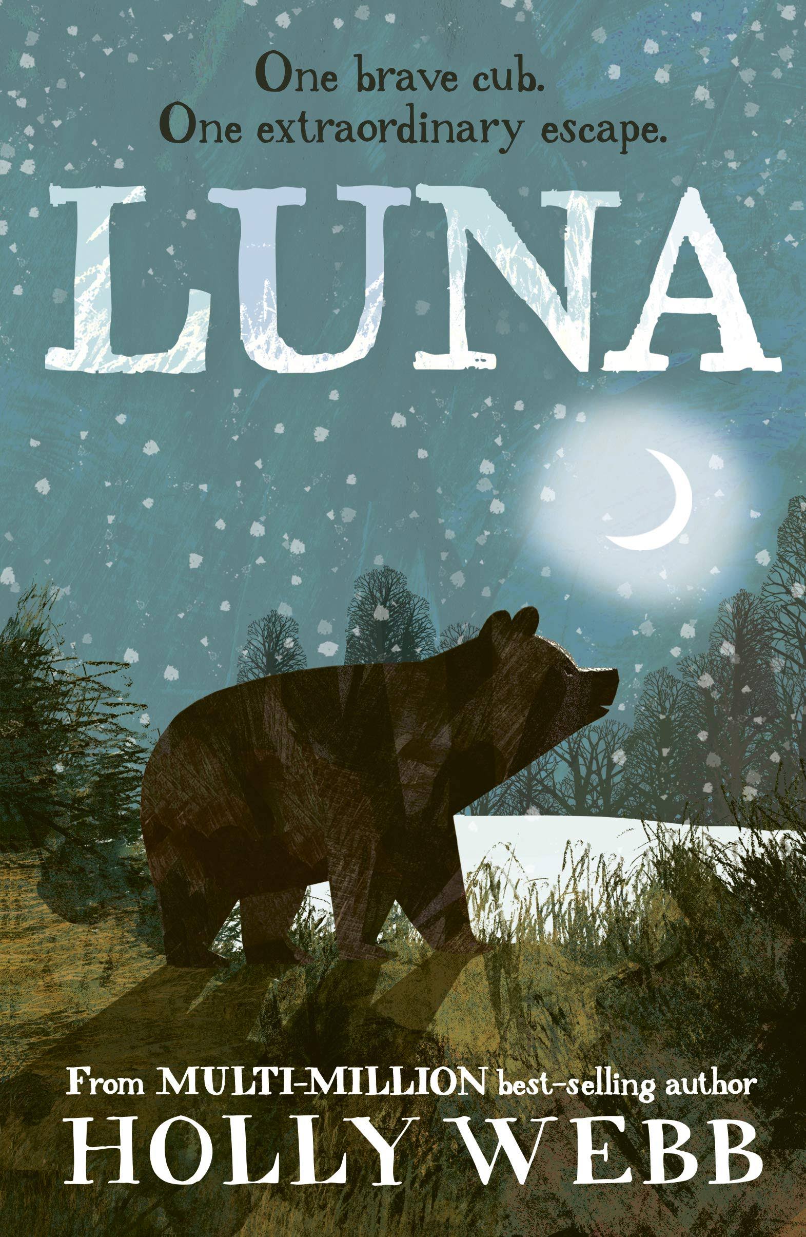 Luna by Holly Webb