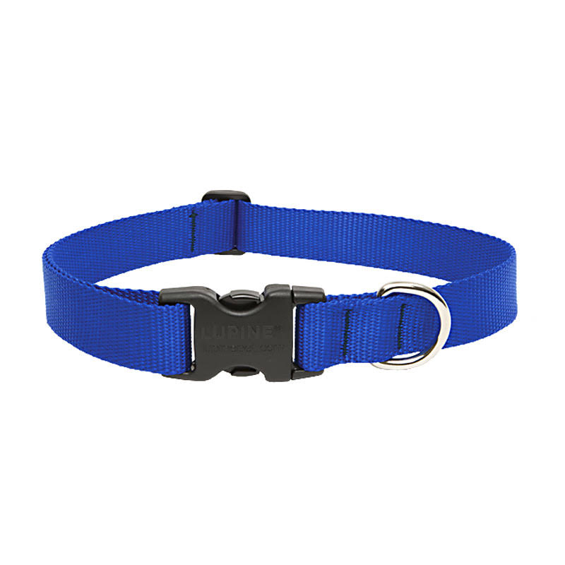 Lupine Dog Collar - Blue