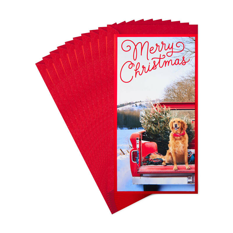 Dog and Tree in Red Truck Money Holder Christmas Cards, Pack of 10
