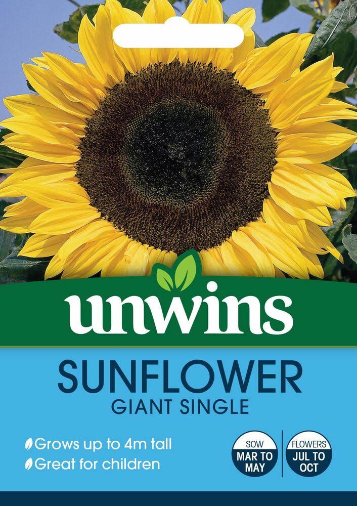 Flower Sunflower Vincent's Mix Unwins Pictorial Packet 20 Seeds 