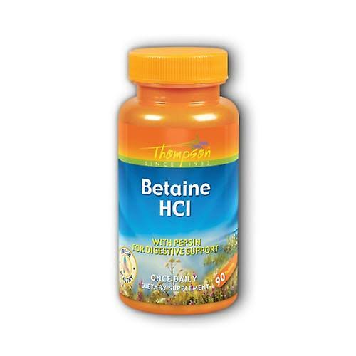 Thompson Betaine HCI Dietary Supplement - 90ct
