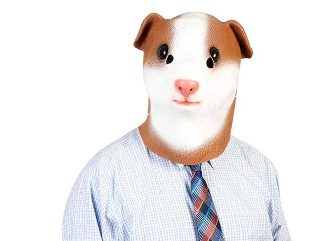 Archie Mcphee Guinea Pig Mask