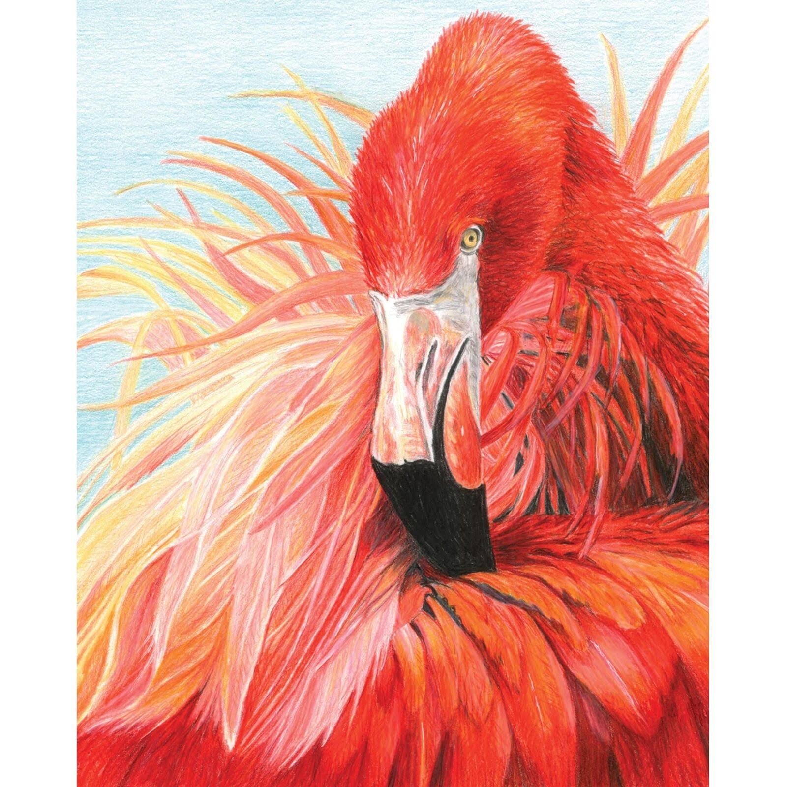Color Pencil By Number Kit 8.75"X11.75" Flamingo