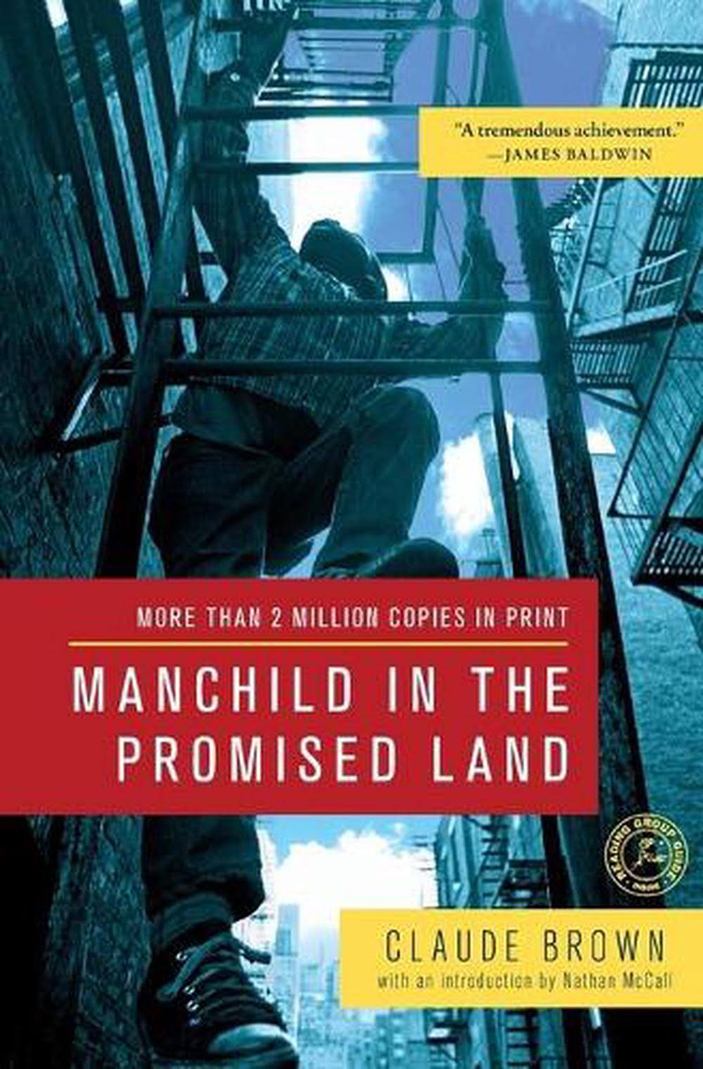 Manchild in The Promised Land by Claude Brown