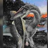 Study: Dinosaurs takes over amid ice not warmth