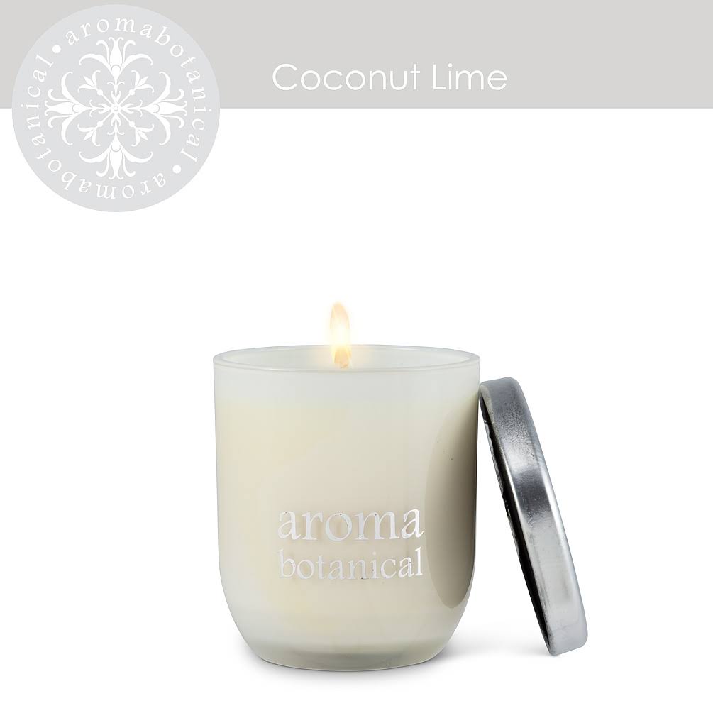 Abbott Collection AB-16-AB-005-CL 3 in. Coconut Lime Candle White - Small