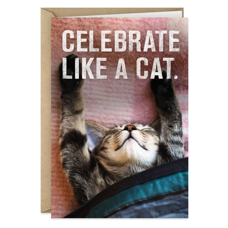 Hallmark Birthday Card, Celebrate Like A Cat Birthday Card