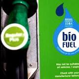 World Biofuel Day 2022: Know Date, History, Significance Of Day Focusing On Alternate Fuel Sources
