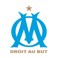 Image result for marseille logo