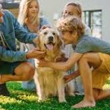 Canstar reveals its 2022 Pet Insurance Award winners and Most Satisfied Customers