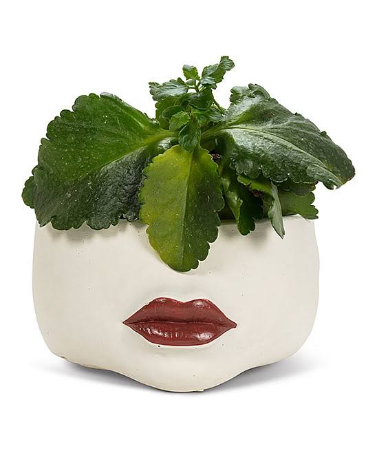 Abbott White & Red Low Lip Planter One-Size