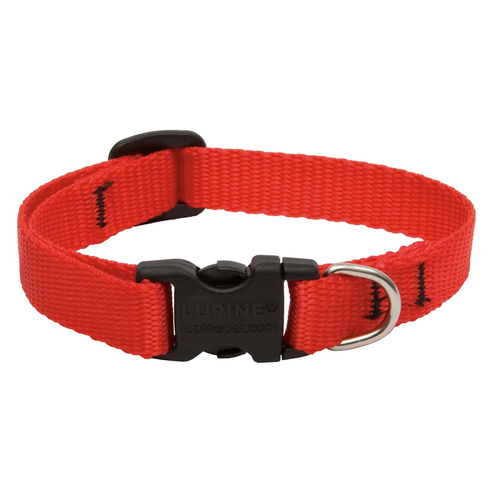 Lupine Adjustable Dog Collar - Red, 16"-28"
