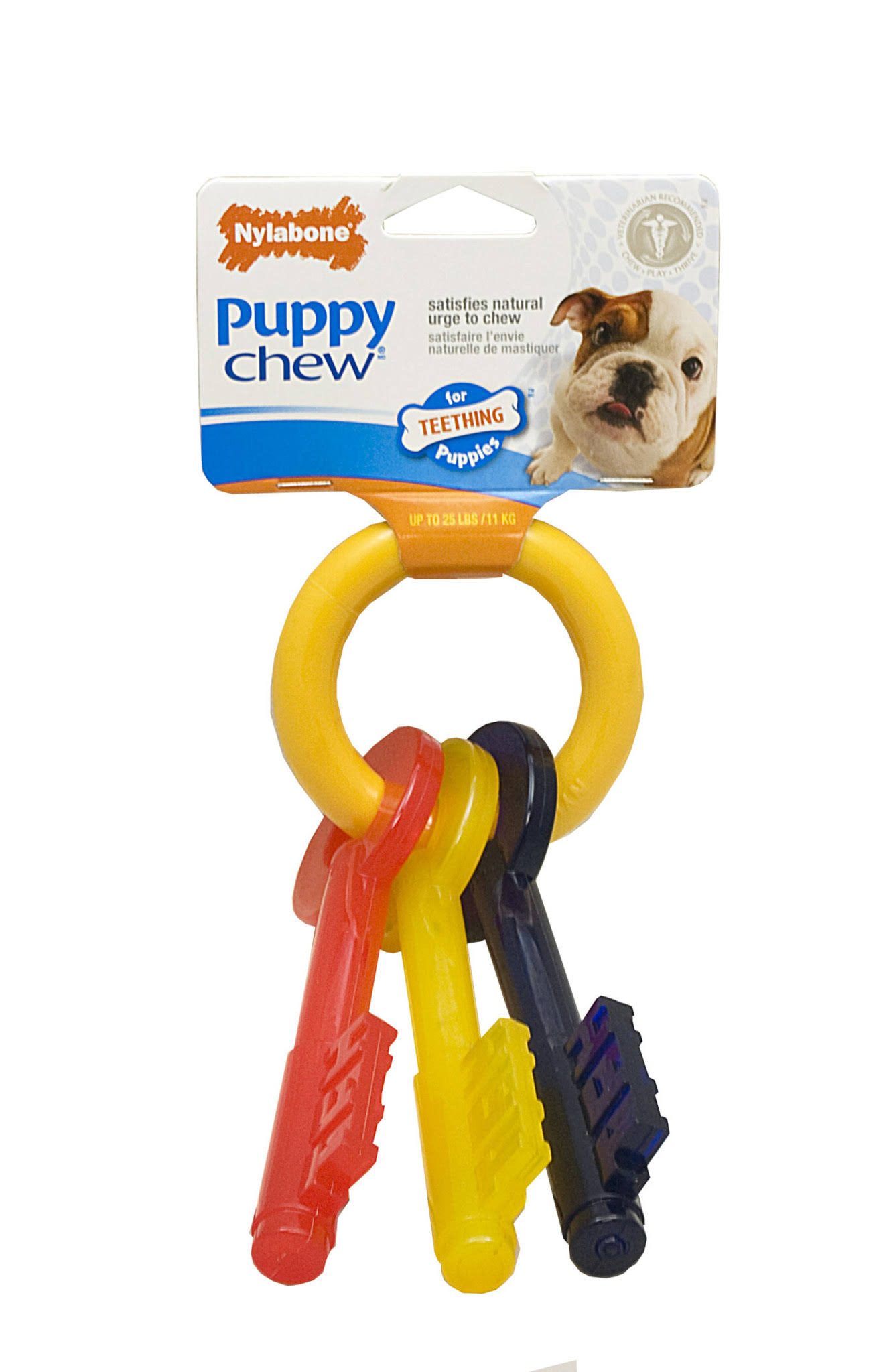 Nylabone Puppy Chew Teething Toy