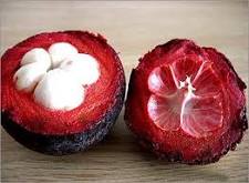 Mangosteen Fruit  images?q=tbn:ANd9GcS