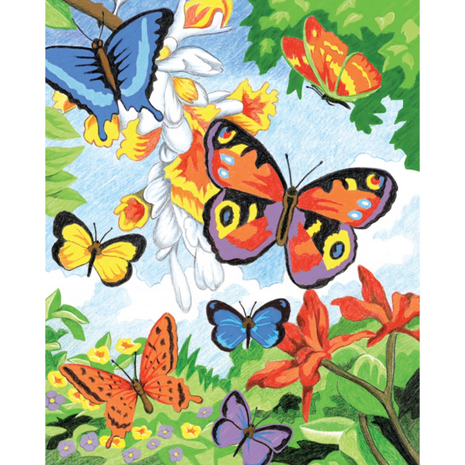 Color Pencil By Number Kit 8.75"X11.75" Bright Butterflies