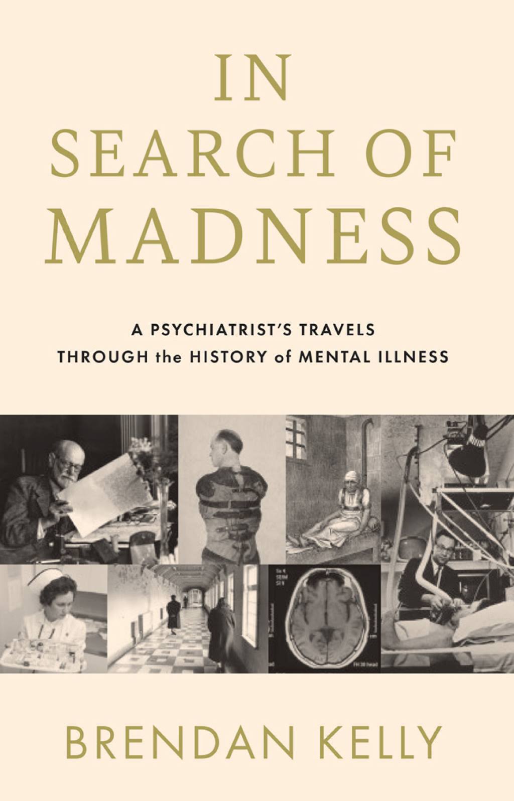 In Search of Madness by Brendan Kelly
