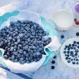 Regular Blueberry Consumption May Reduce Risk of Dementia