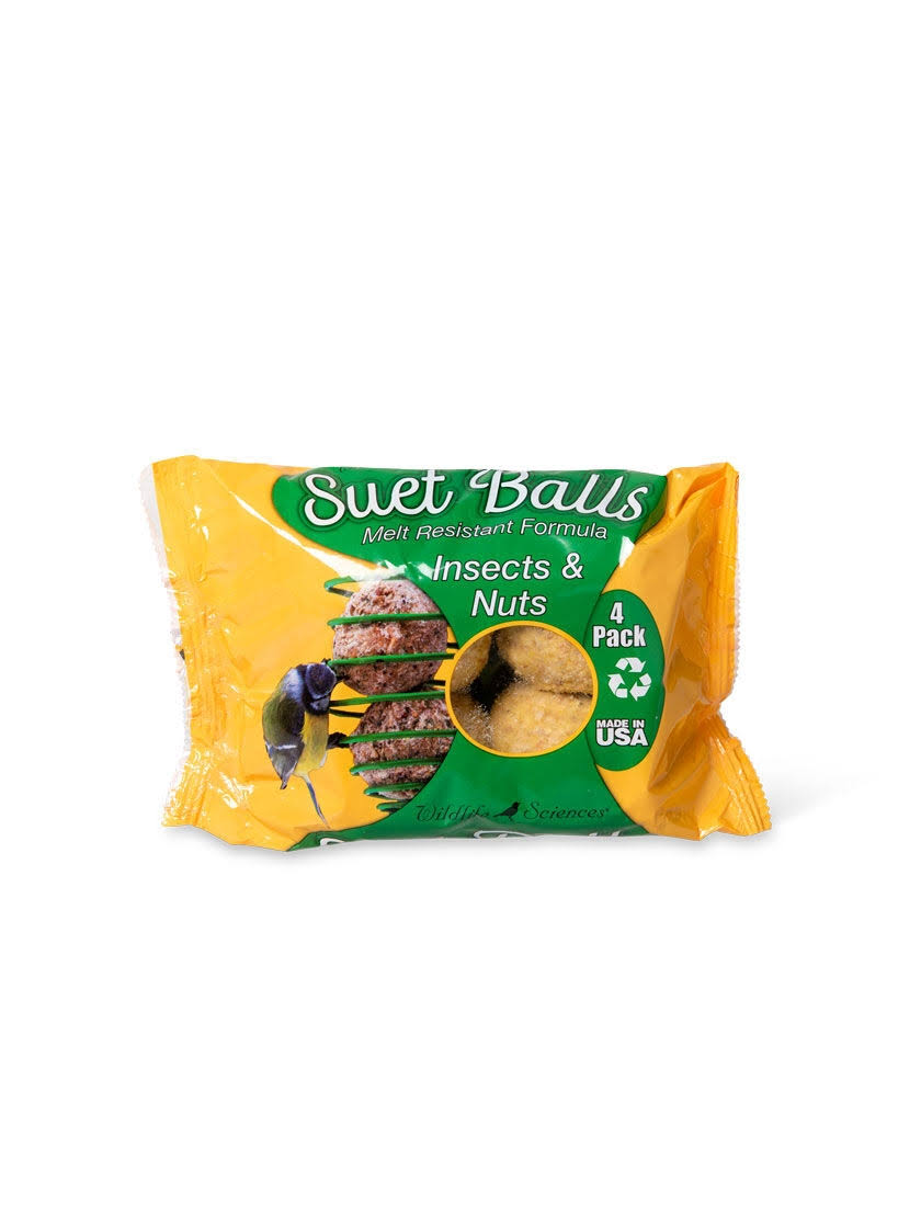 Suet Balls, 4-Pack - Insect & Nuts