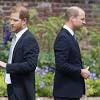 Prince Harry: William bashed Meghan, physically attacked me