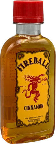 Fireball 100ml Bottle