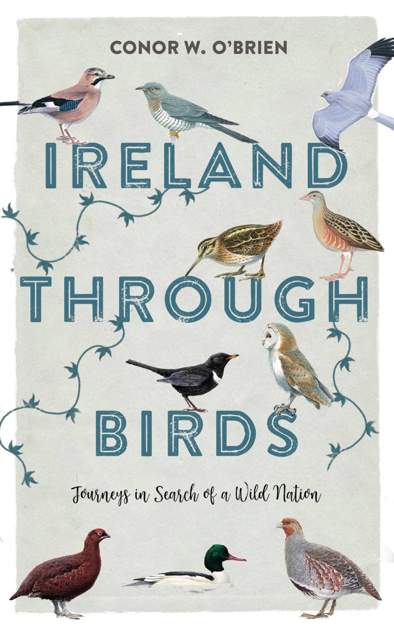Ireland Through Birds by Conor O Brien