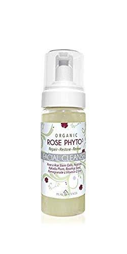 Organic Rose Face Wash Peak Scents Phtyo3 Anti Aging Facial Cleanser W