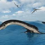 New Plesiosaur Fossil Discovery
