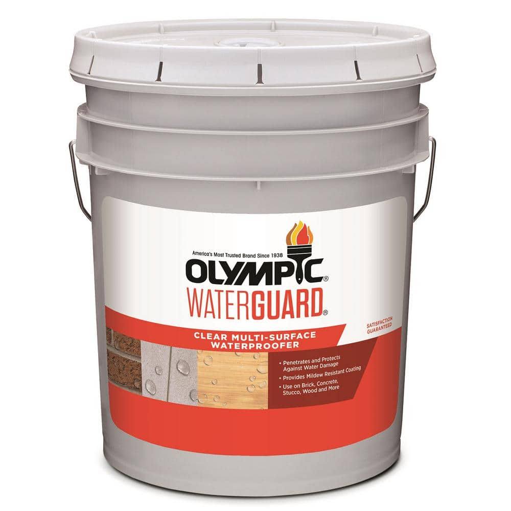 Olympic Waterguard 5 gal. Clear Multi-Surface Waterproofing Sealant