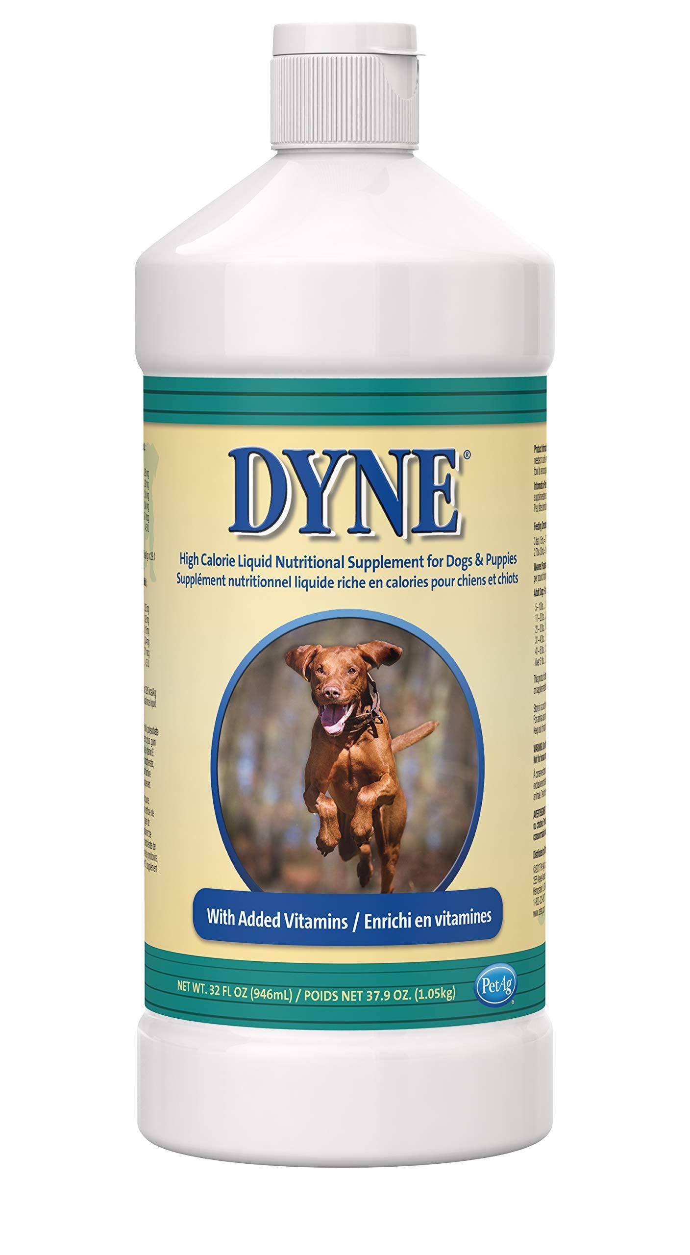 Dyne High Energy Dog Supplement - 32oz