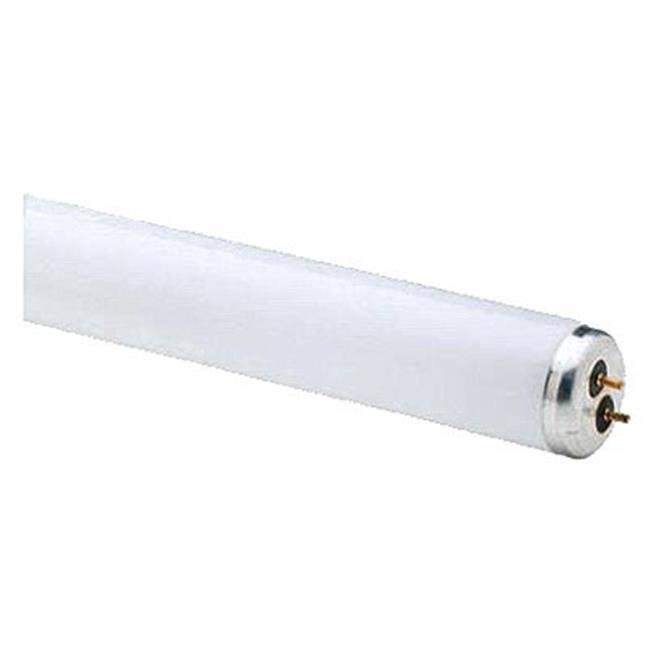 GE Lighting 238124 48 in. Westpointe 32W T8 Linear Fluorescent Tube, Pack of 2