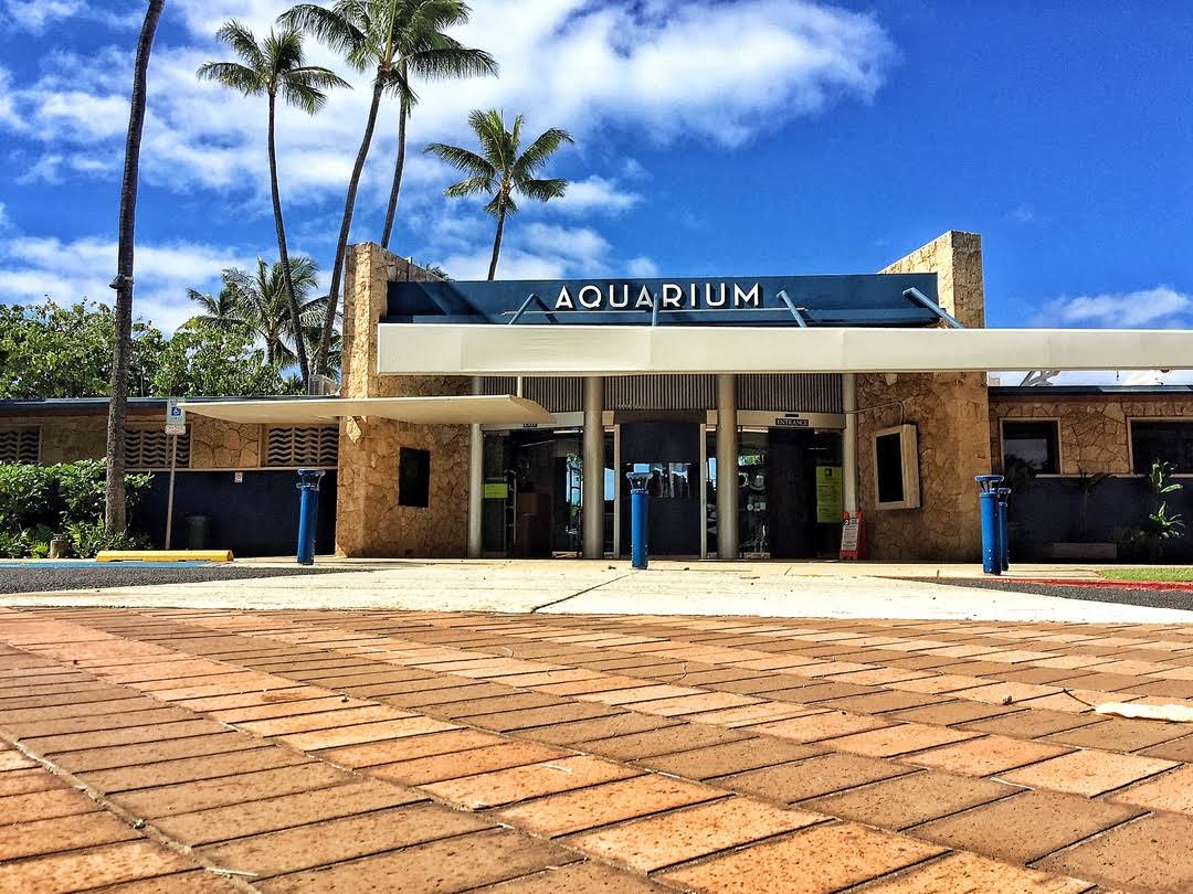 Waikiki Aquarium image