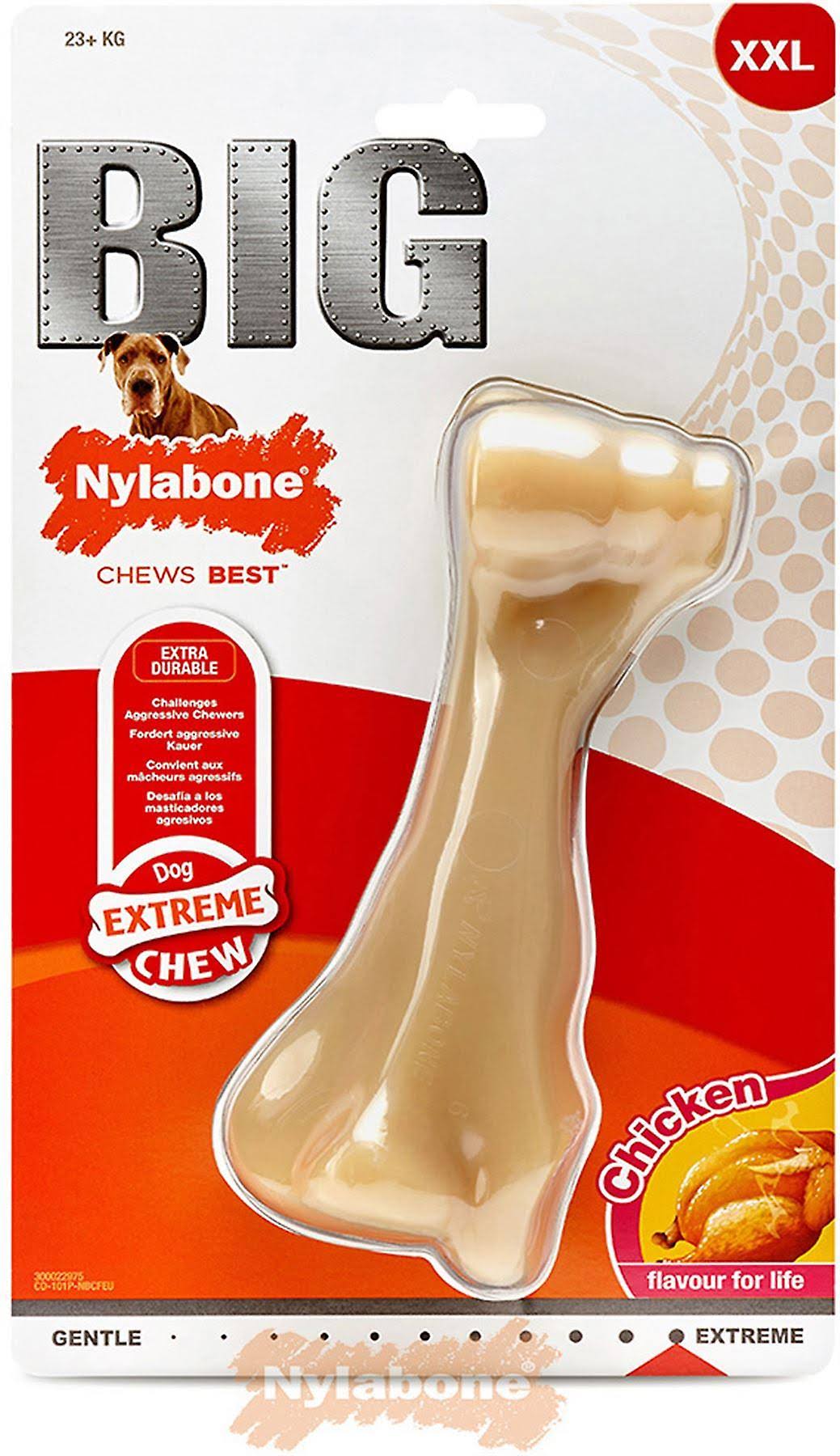 Nylabone Big Chew Bone - Beef