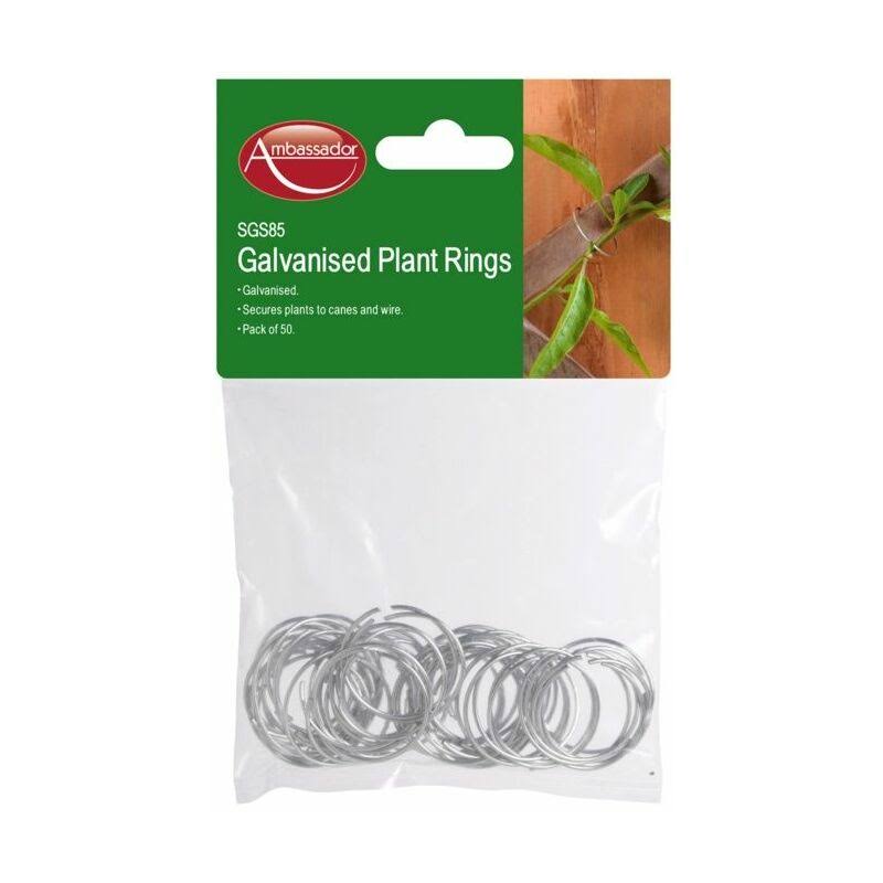 Ambassador - Galvanised Plant Rings