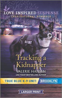 Tracking a Kidnapper [Book]
