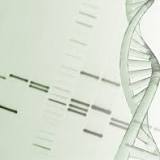 Researchers discover the role DNA plays in COVID testing