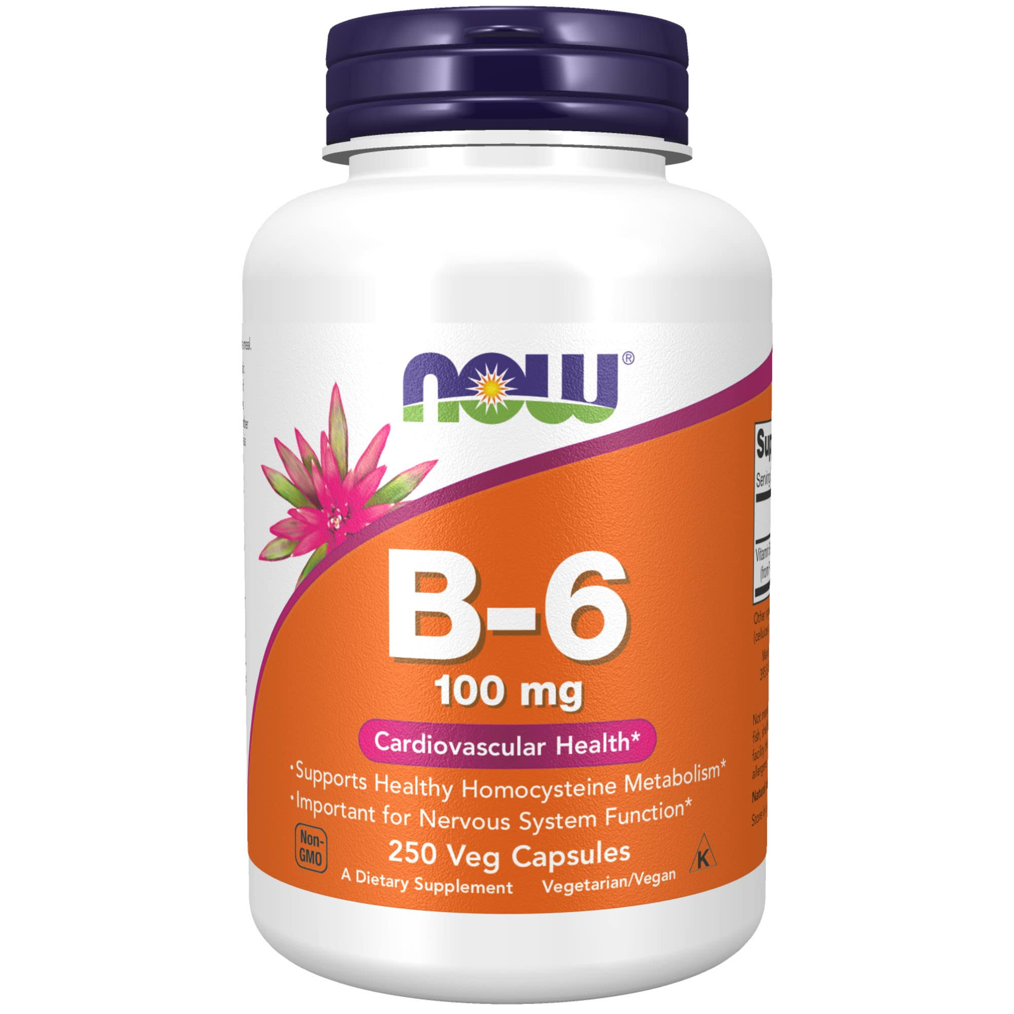 Now Foods Vitamin B-6 - 250 Capsules, 100mg