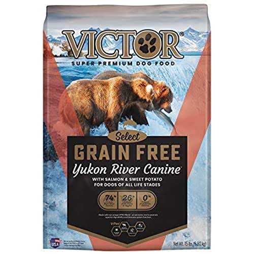 Victor Grain Yukon River Salmon and Sweet Potato Dog Food - 15lb