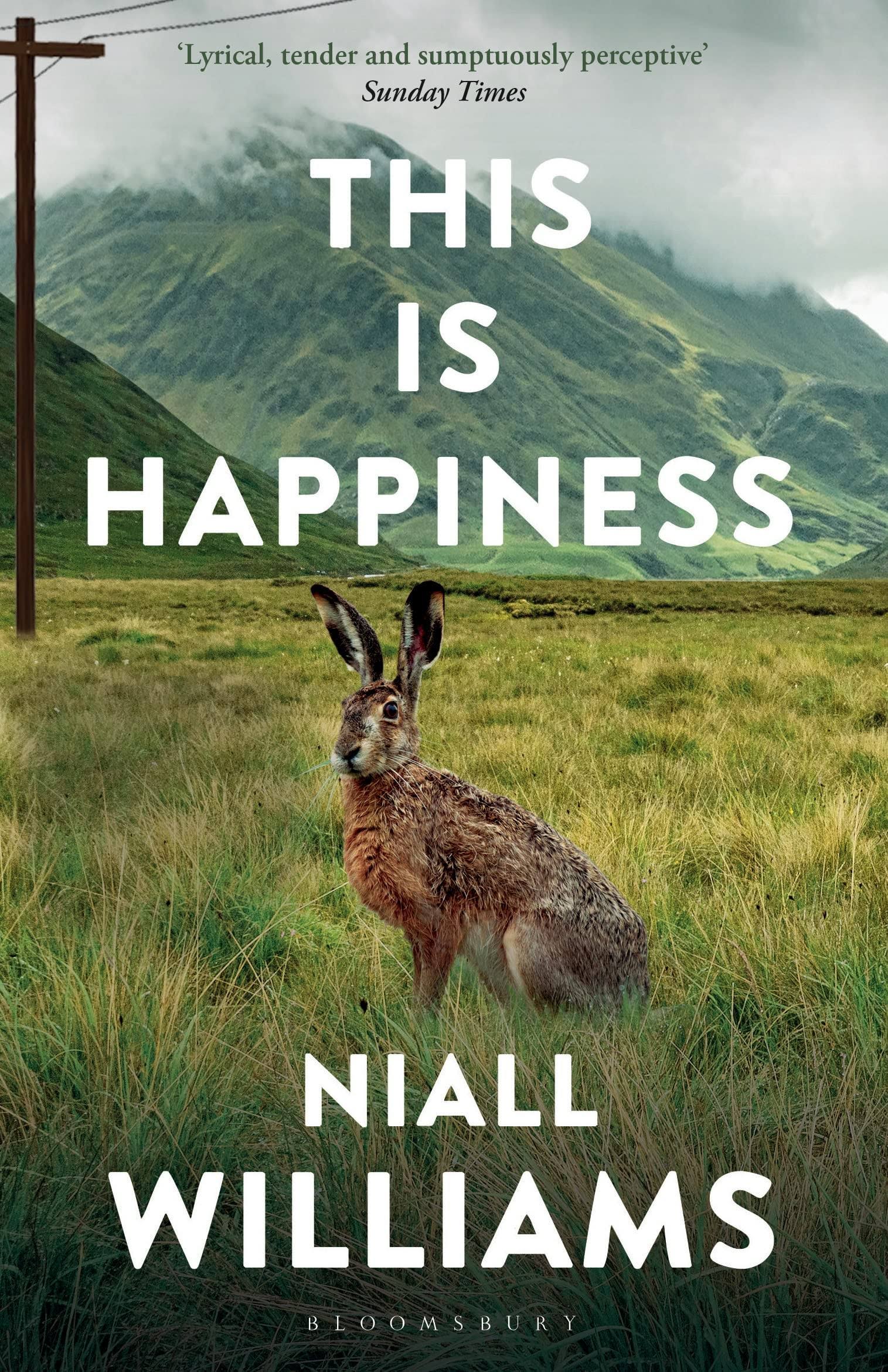 This Is Happiness - by Niall Williams