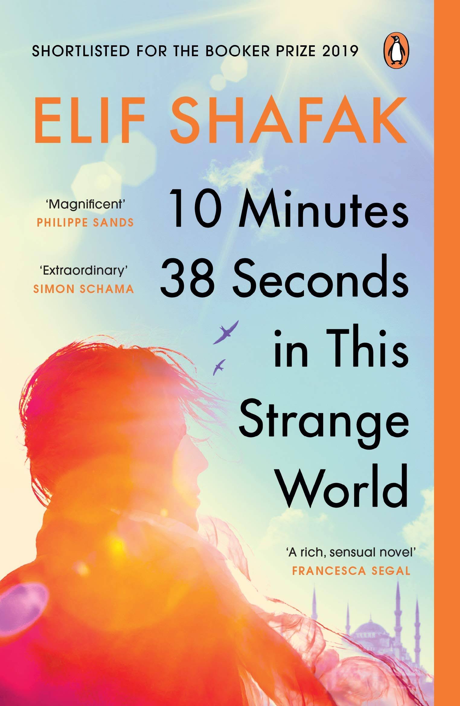 10 Minutes 38 Seconds in this Strange World [Book]