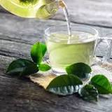 Green Tea Extract Promotes Gut Health and Lowers Blood Sugar