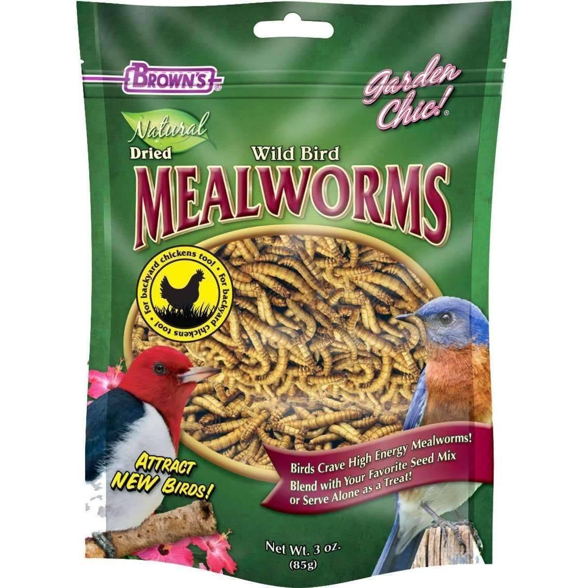 F.M. Brown's Fixins Mealworms