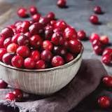 Consuming cranberries could improve memory and prevent dementia